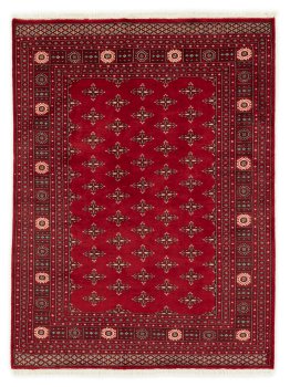 Pakistan Buchara 2ply 225x167