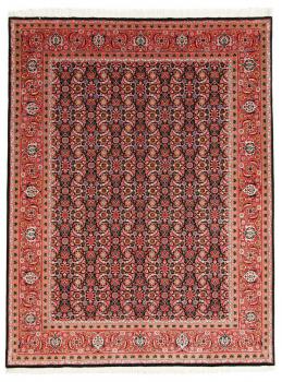 Tabriz 50Raj Mahi 203x155