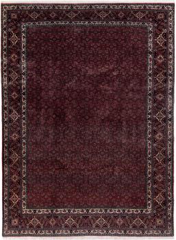 Bidjar 323x243