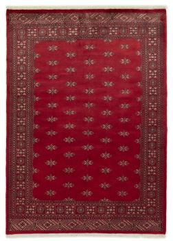Pakistan Buchara 3ply 243x175
