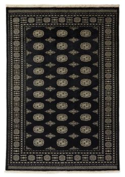Pakistan Buchara 2ply 245x168