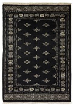Pakistan Buchara 2ply 236x165
