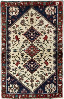 Shiraz 159x103