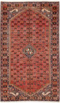 Shiraz 265x157