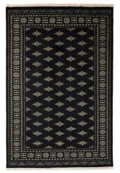 Pakistan Buchara 2ply 252x169