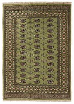 Pakistan Buchara 2ply 235x169
