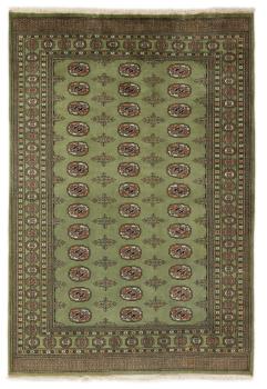 Pakistan Buchara 2ply 249x170