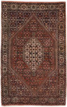 Bidjar 141x91