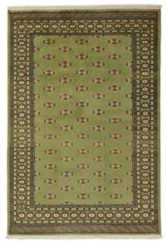 Pakistan Buchara 2ply 247x169