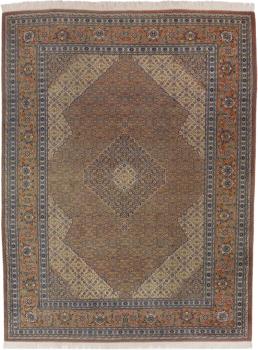Sarab 336x258