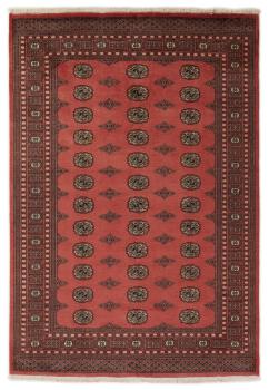 Pakistan Buchara 2ply 246x171
