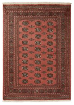 Pakistan Buchara 2ply 237x167