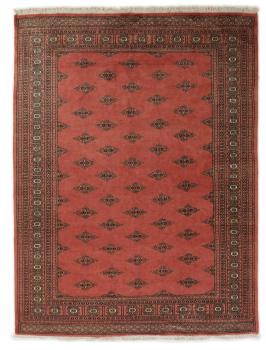 Pakistan Buchara 2ply 228x170