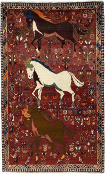 Shiraz 189x119