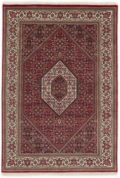 Indo Bidjar 201x142