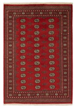 Pakistan Buchara 2ply 246x172