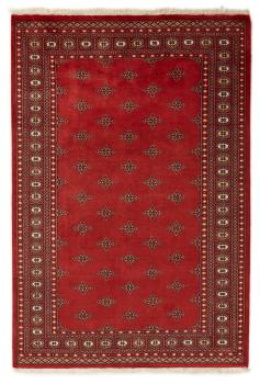 Pakistan Buchara 2ply 251x170