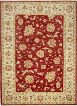 Ziegler Farahan 231x159