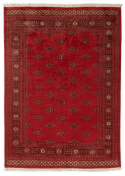 Pakistan Buchara 2ply 229x167