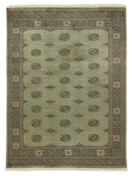 Pakistan Buchara 3ply 229x172
