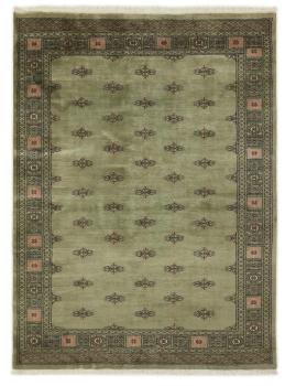 Pakistan Buchara 3ply 232x171