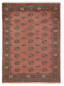 Pakistan Buchara 3ply 237x173