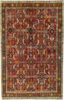 Shiraz 248x159