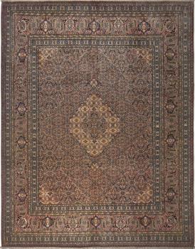 Tabriz Mashayekhi 356x278