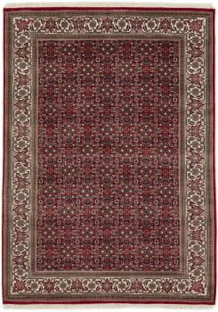 Indo Bidjar 204x141