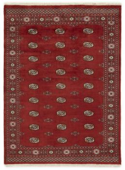 Pakistan Buchara 3ply 233x171