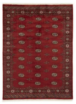 Pakistan Buchara 3ply 229x168