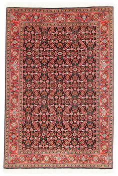 Tabriz 50Raj Mahi 151x101