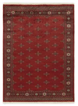Pakistan Buchara 3ply 234x171