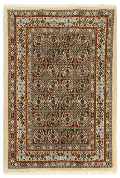 Moud Mahi 89x61