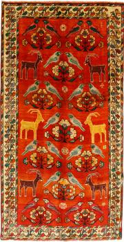 Shiraz 289x153