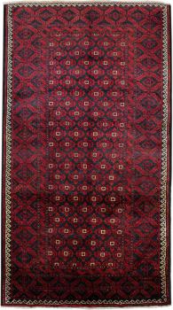 Baluch 226x113