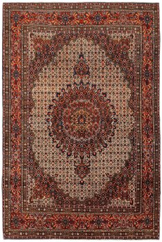 Moud Mahi 316x212