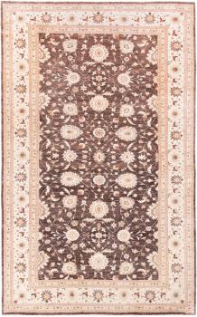 Ziegler Farahan 619x385