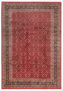 Indo Bidjar 299x206
