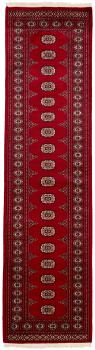 Pakistan Buchara 2ply 301x79