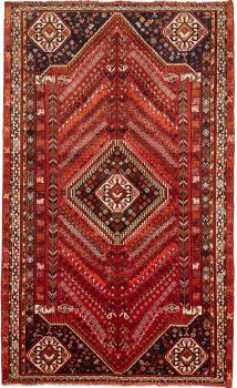 Shiraz 294x179