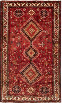Shiraz 271x161