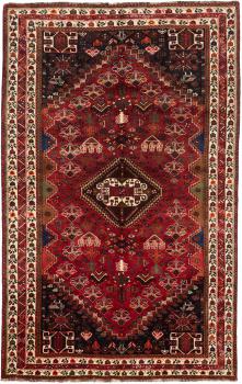 Shiraz 264x167