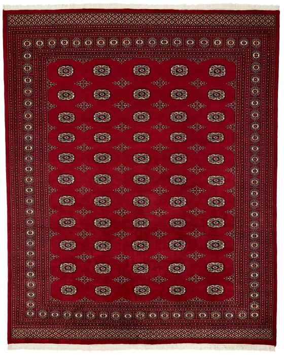 Nain Trading Pakistan Buchara 2ply 303 x 245