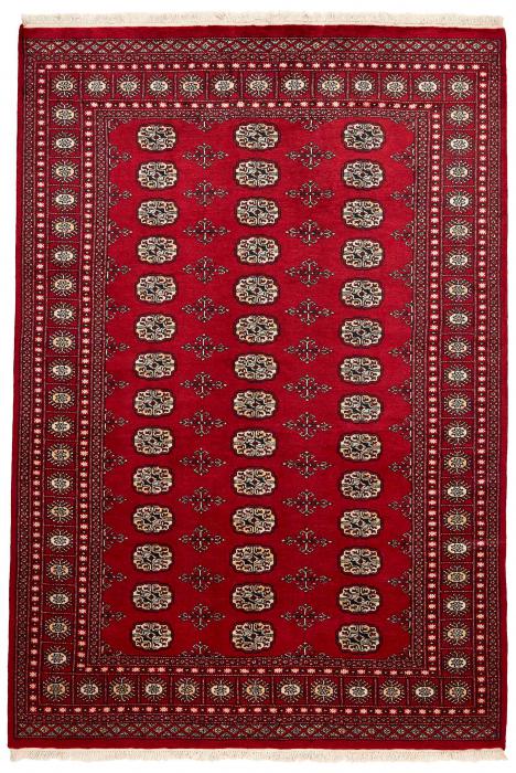 Nain Trading Pakistan Buchara 2ply 249 x 170