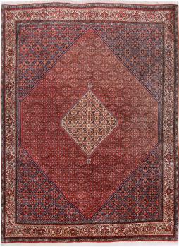 Bidjar Tekab 343x250