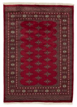 Pakistan Buchara 2ply 197x142