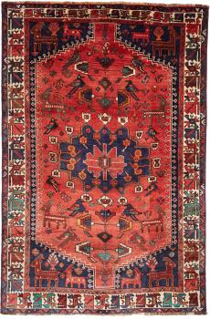 Shiraz 259x173