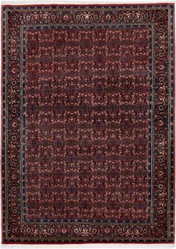 Bidjar 203x145