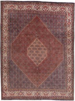 Bidjar 350x260